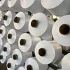 polyamide Nylon DTY 100d/36f SD Raw White